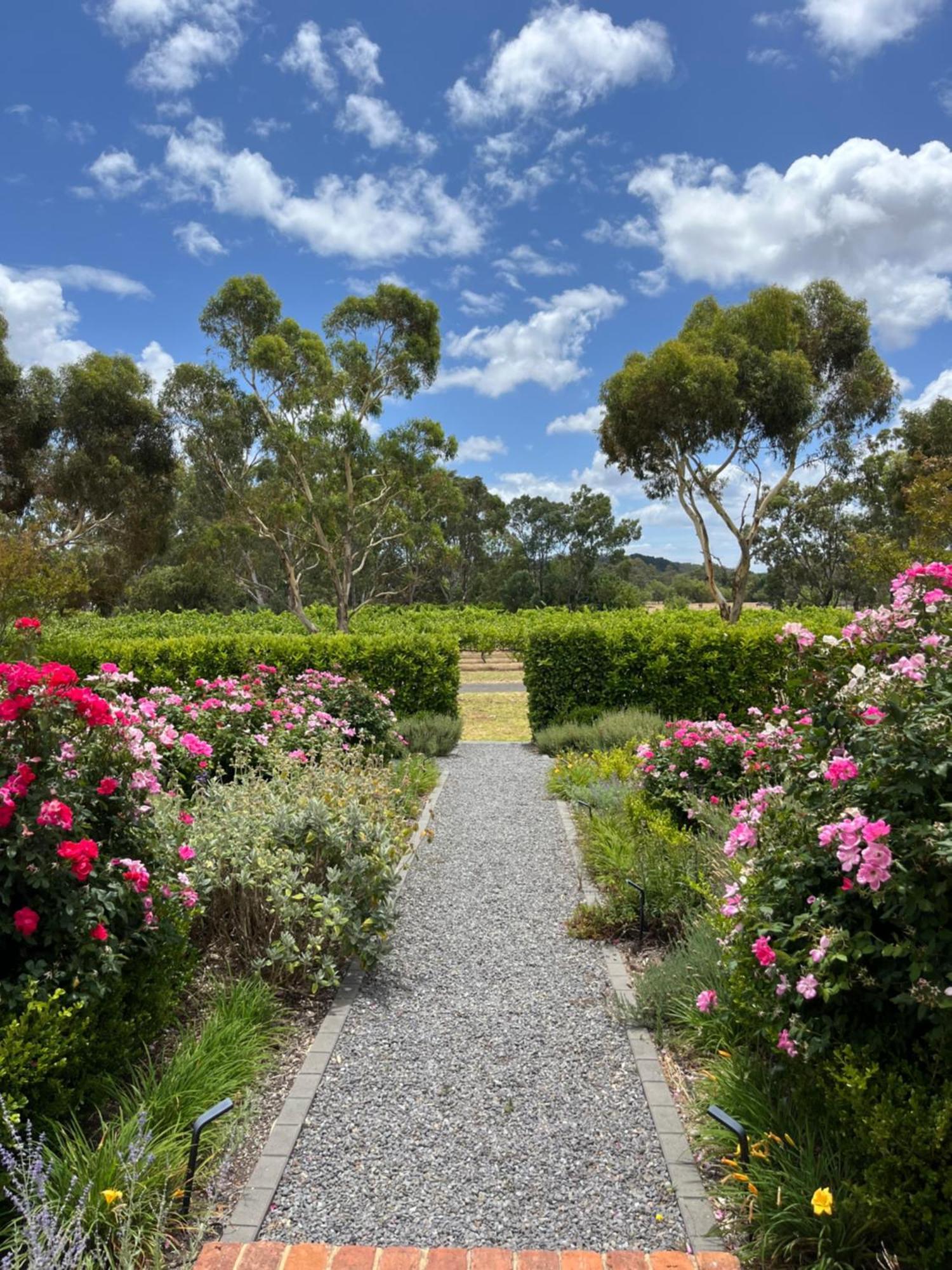 Oxenberry Farm Βίλα Mclaren Vale Εξωτερικό φωτογραφία