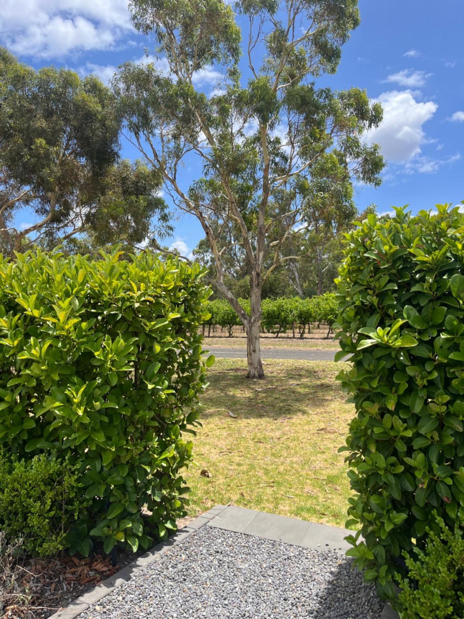 Oxenberry Farm Βίλα Mclaren Vale Εξωτερικό φωτογραφία