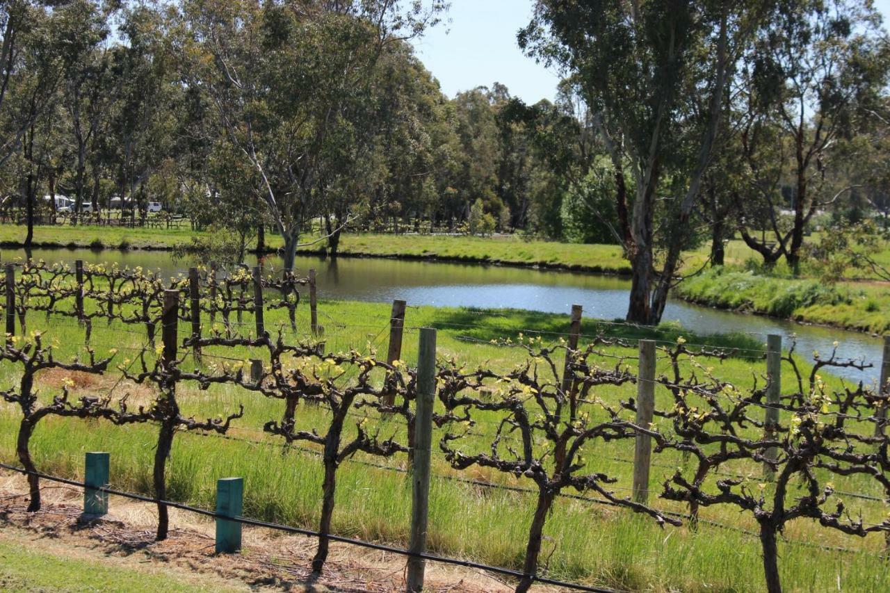 Oxenberry Farm Βίλα Mclaren Vale Εξωτερικό φωτογραφία